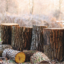 logs